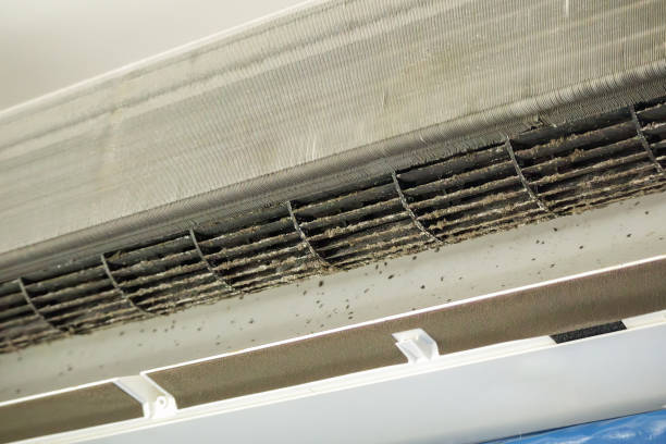 Best Affordable Air Duct Cleaning  in Highland Beach, FL